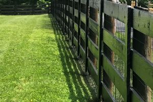 Black Fence Painting Profile2